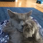 Ewa Olszewski - @kuszan - Instagram