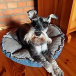 Ewa Rozek - @ewaro_zek - Instagram