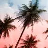 Ewa Sęk - @alanowsk123 - TikTok