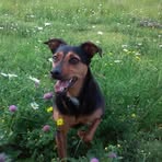Ewa Sochacka - Facebook