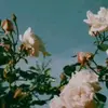 ewasochacka - @ewasochacka0_ - TikTok