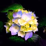 Ewa Stepien - @ewa.stepien.7773 - Instagram