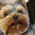 Ewa Strzelecka - Facebook