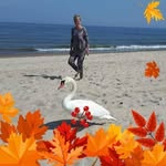 Ewa Strzelecka - @ewastrzelecka66 - Instagram