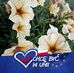 Ewa Strzelecka - Facebook