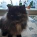 Ewa Strzelecka - Facebook