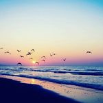 Ewa Wiącek - @wiaceke - Instagram