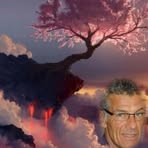 Ewald Steiner - Facebook