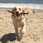 Ewan Barr - @ejbarr0622 - Instagram