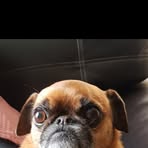 Ewan Boyd - Facebook