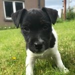 Ewan Brown - @__ewanbrown - Instagram