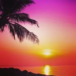 ewan_chambers - @ewan_chambers - Instagram