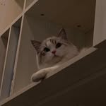Ewan Chen - @chenyihuang76 - Instagram