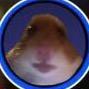 Cole Ewan - @cole_ewan1 - TikTok