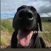 user112479527251 - @ewancollins1 - TikTok