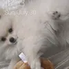 Dayewan - @dayewan - TikTok