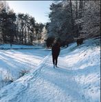 Ewan Douglas - Facebook