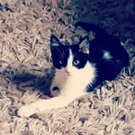 ewan edwards - @ewan.edwards12 - Instagram