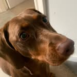 Ewan Foster - @ewanfoz2009 - Instagram