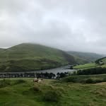 Ewan Gibson - @ewandgibson - Instagram