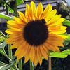 ewangordon23 - @ewangordon23 - TikTok
