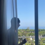 Ewan Green - @ewan_green_ - Instagram