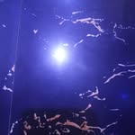 Ewan Holmes - @ewan.holmes___ - Instagram