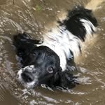 Ewan Hunt - @ewan_hunt - Instagram