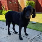 Ewan Johnston - Facebook