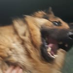 Ewan Johnston - @ewan.johnston.581 - Instagram