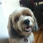@ewan_lang - Instagram