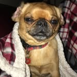 Ewan McLean - @globby358 - Instagram