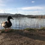 Ewan_Moore - @ewan_moore_yxkf - Instagram