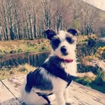 Ewan Morris - @ewanmorris - Instagram