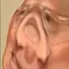 EWAN Morris - @._your_friend.e_nawe19 - TikTok