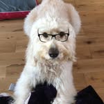 Ewan Morrison - @ewanmorrison67 - Instagram