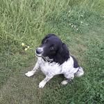 Ewan Nicholson - @ewan_nicholson.priv - Instagram