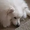 Ewan Richards - @ewan.richards - TikTok