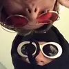 ewan.steele - @ewan.steele - TikTok