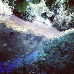 Ewan_Thomas - @ewan_thomas_13 - Instagram