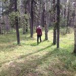 Ewan Wallace - @ewan.wallace.79 - Instagram