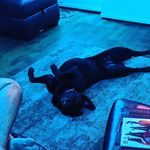 Ewan Wallace - @ewan.wallace.0607 - Instagram