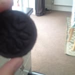 Ewan walters - @ewanistheboss - Instagram