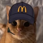 Ewan walters - @ewan_walters.58 - Instagram
