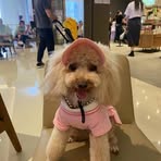 Ewan Wu - Facebook