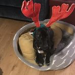 Ewan Young - Facebook