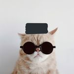 Si Kucing🕊🇵🇸 - @_danieyalhakim - Instagram