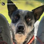Erick Moreno - @ezmoreno60 - Instagram