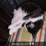 Zeke Ayers - Facebook