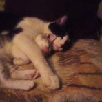 Ezekiel Fleming - Facebook